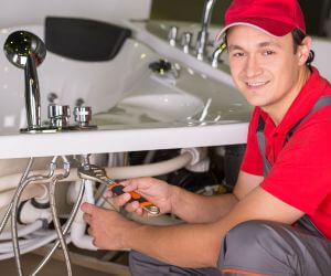 About Septic Pumping Service Breesport, NY
